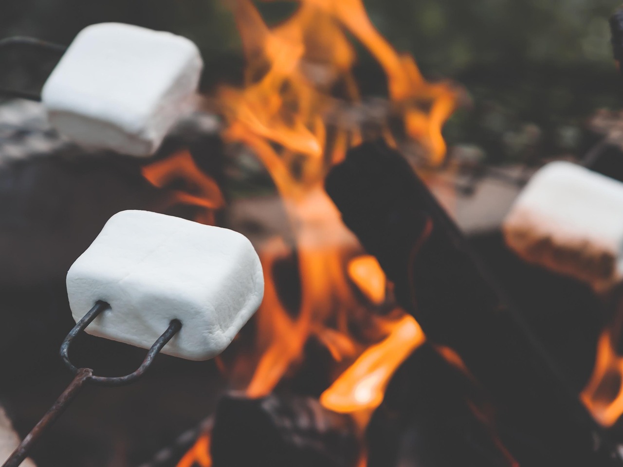 Marshmallows roasting over an open campfire in the evening at Journey's RV Park in Temple, Texas